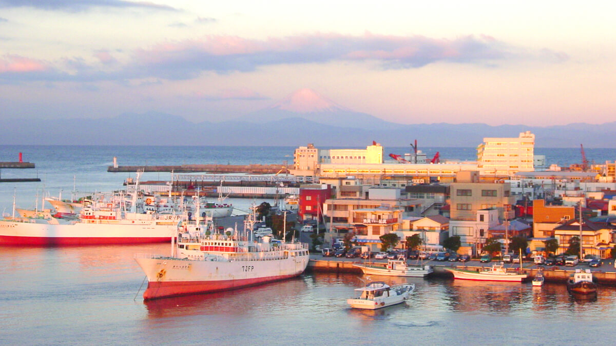 神奈川県 三浦市三崎