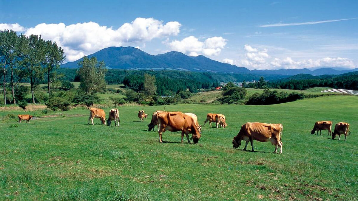 岡山県 真庭市ひるぜん